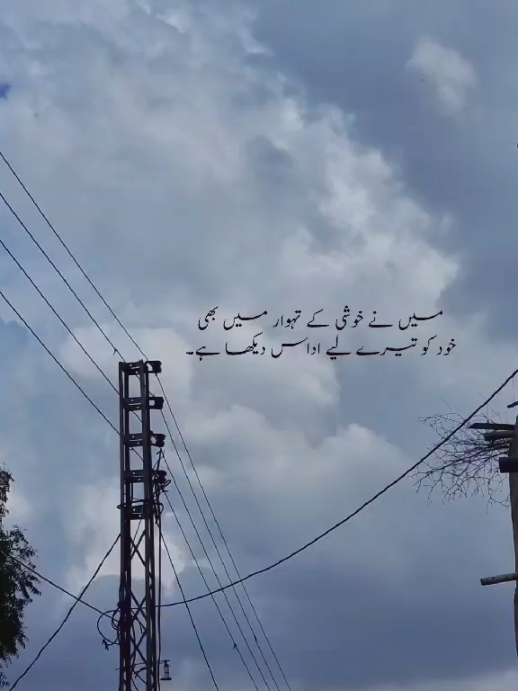 @Shehryar.