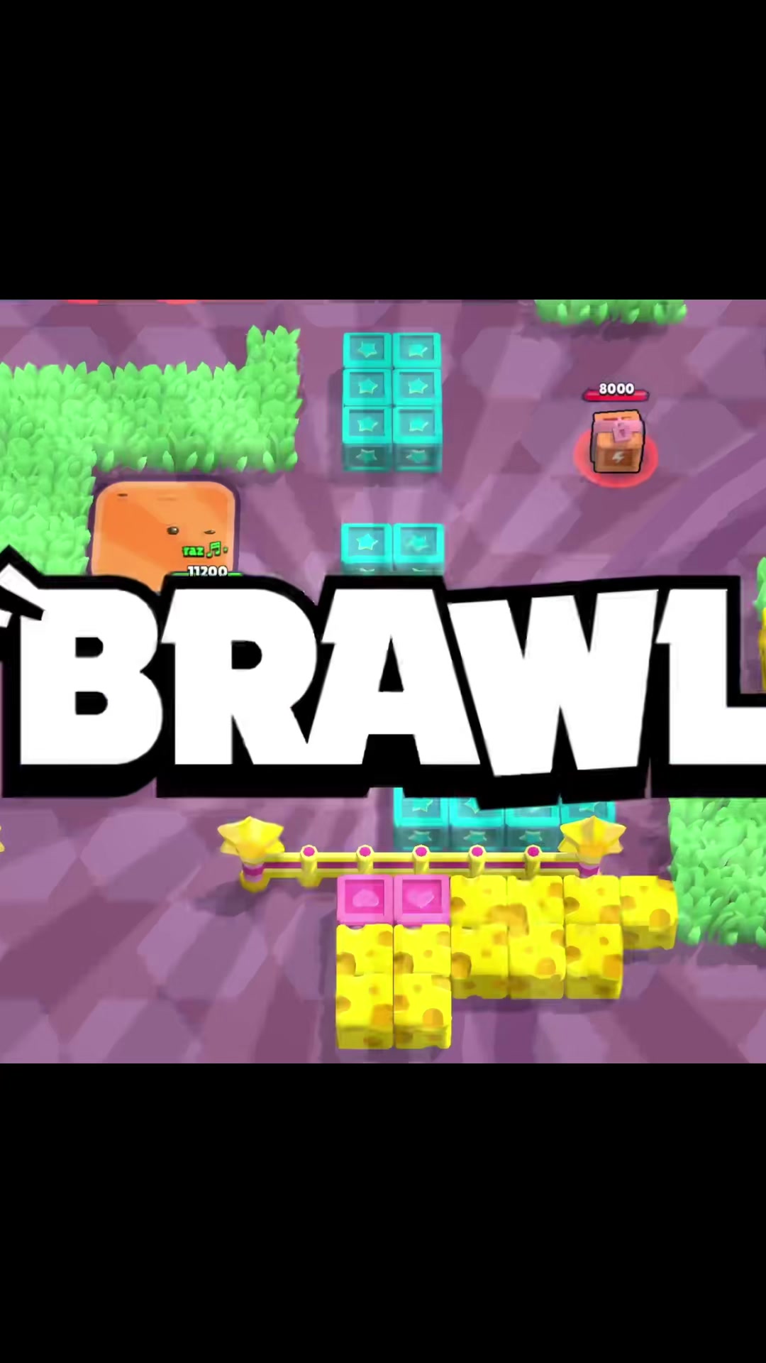 @razbrawlstars