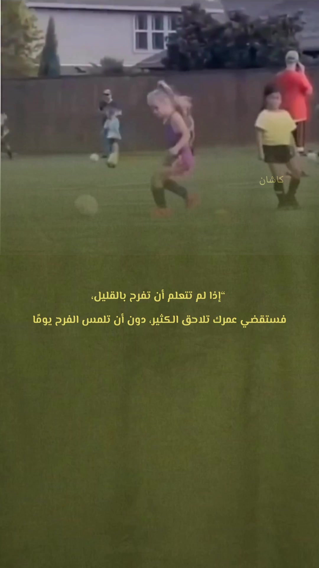 @kashin_02