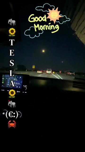 @🐘🌻TESLA🦂🐦&zwj;🔥🐆🐬♋️🥀🦅🦋