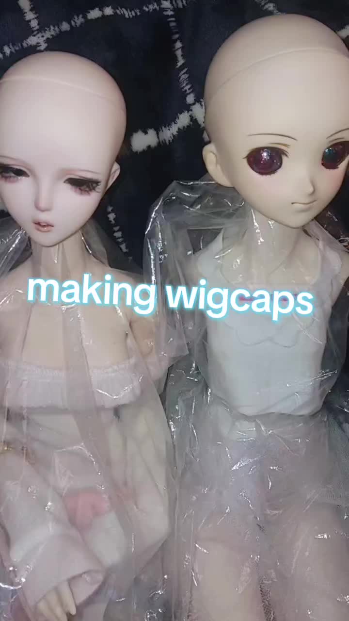 @levy/venus