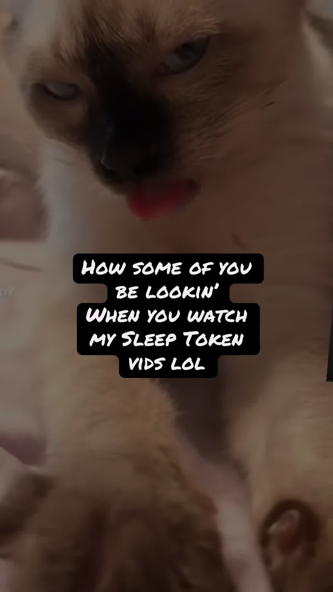 @ℬ𝓁𝒾𝓈𝓈𝒻𝓊𝓁❌𝒜𝓃𝑔𝓊𝒾𝓈𝒽