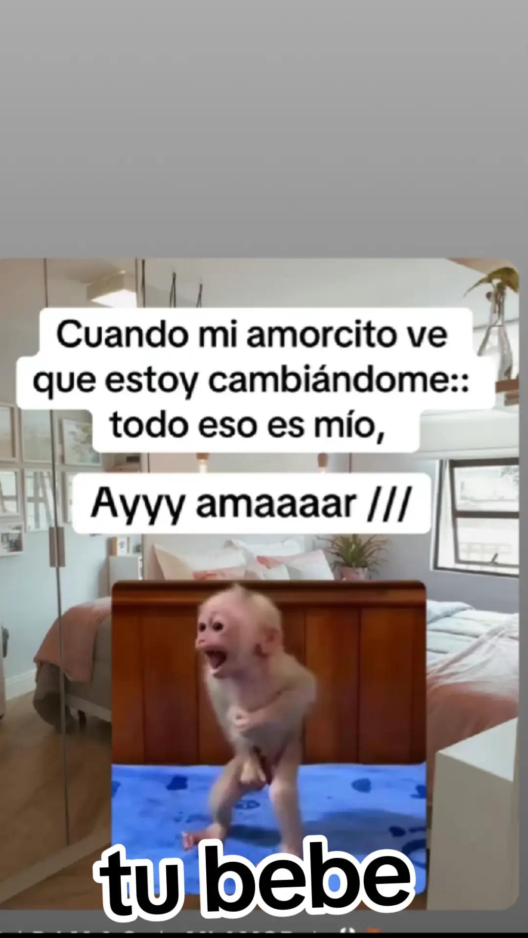 @tu bebe