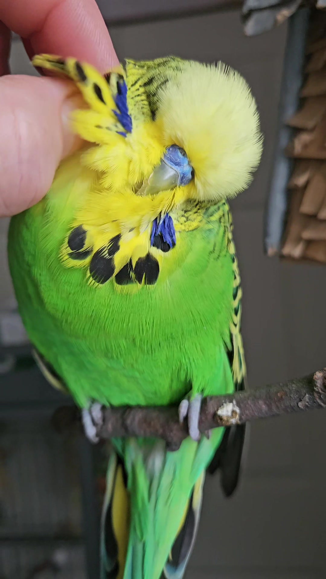 @Run Slow-Mo Charlie🦜