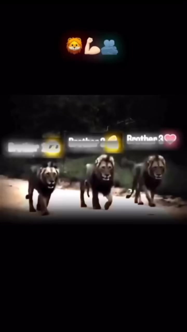@꧁ ༒ⒶⒹⓃⒶⓃ༒꧂