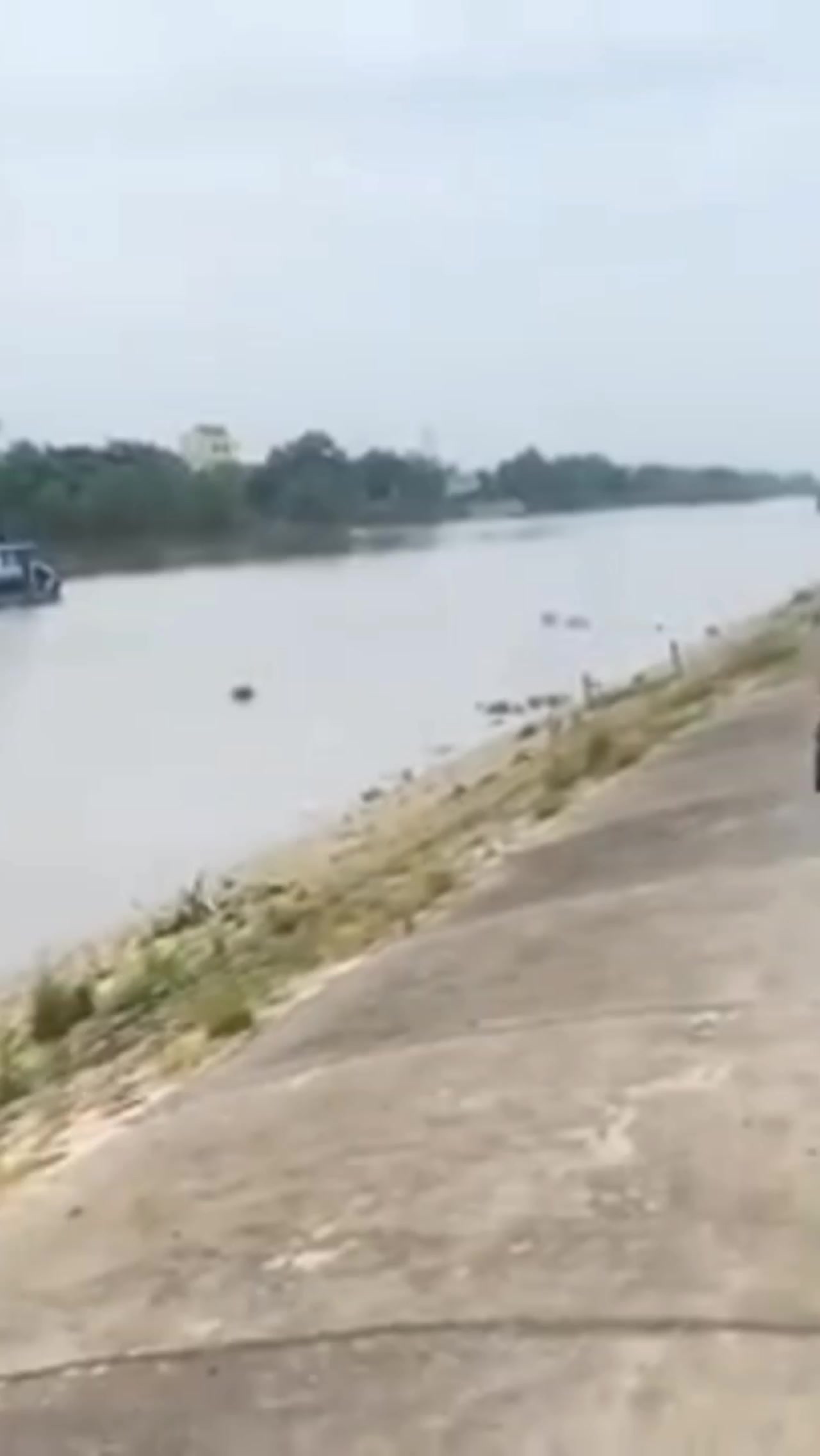 @6359 tui m&ecirc; https://vt.tiktok.
