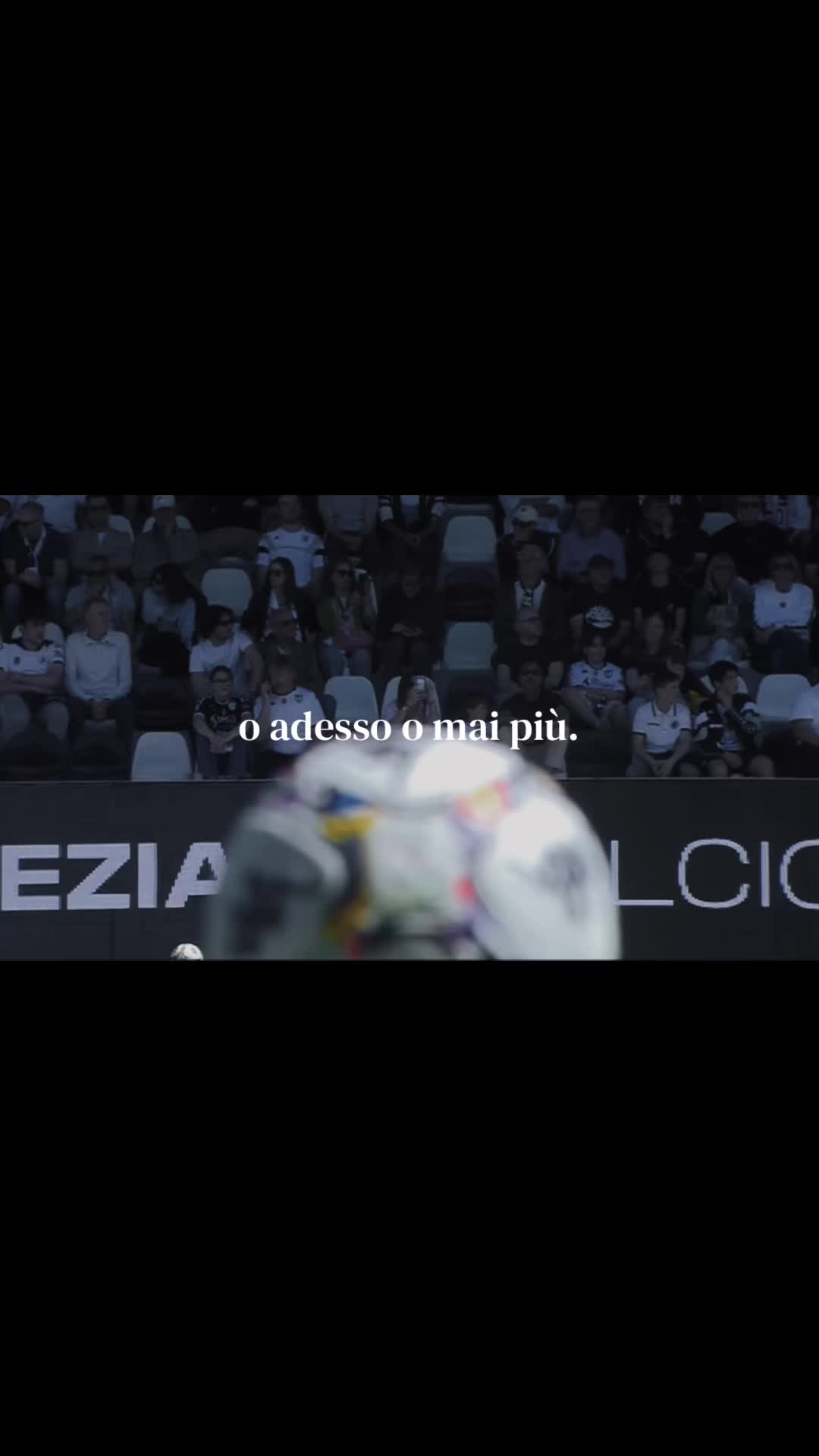 @spezia.files