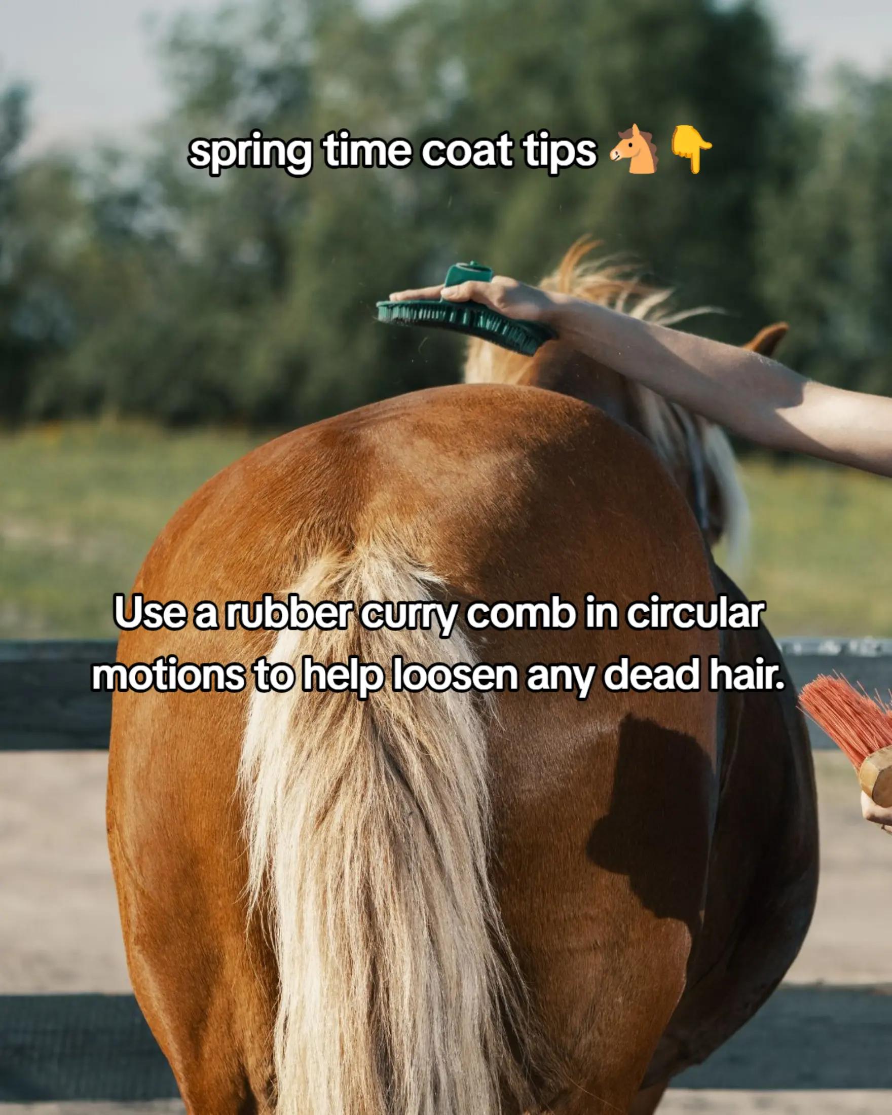 @Equinutritive 🐴 Supplements