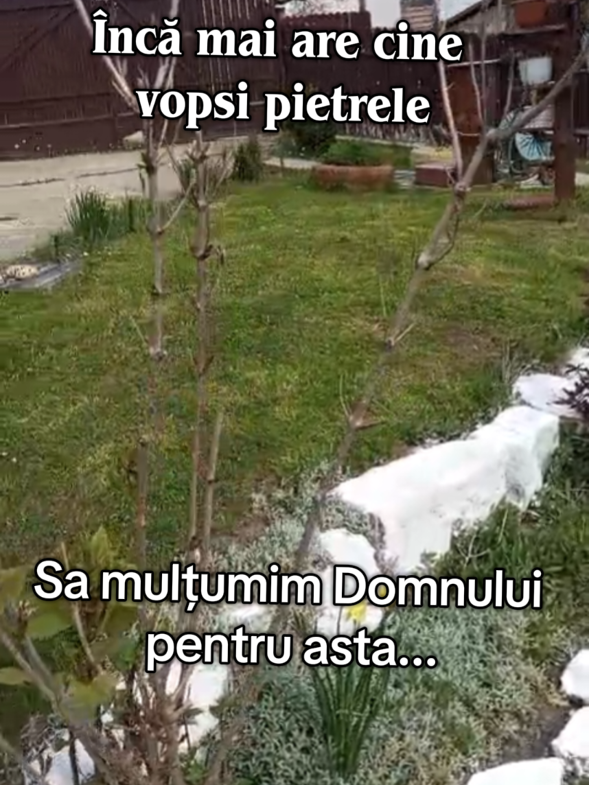 @Vlad & Tati