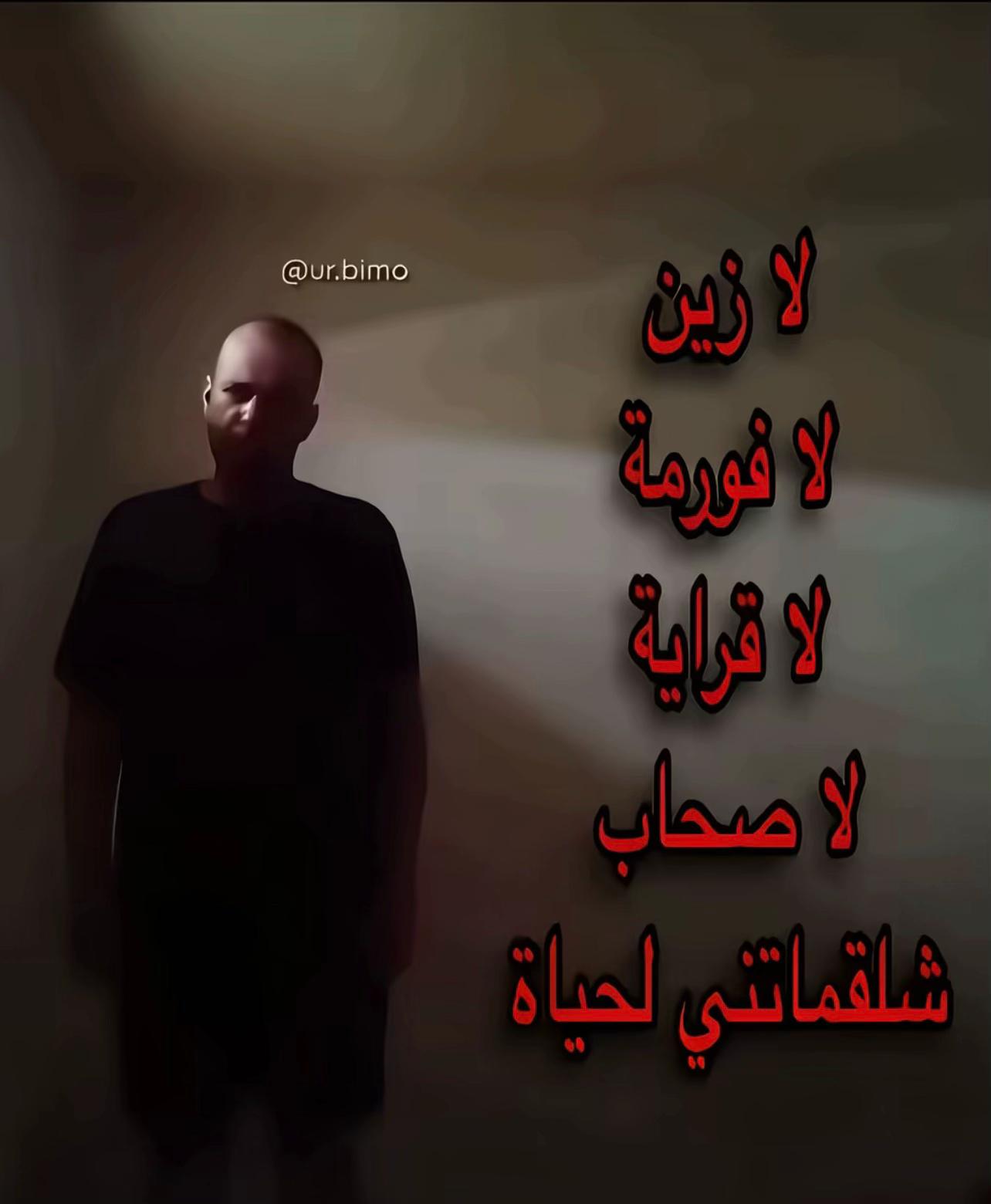 @yvltareek