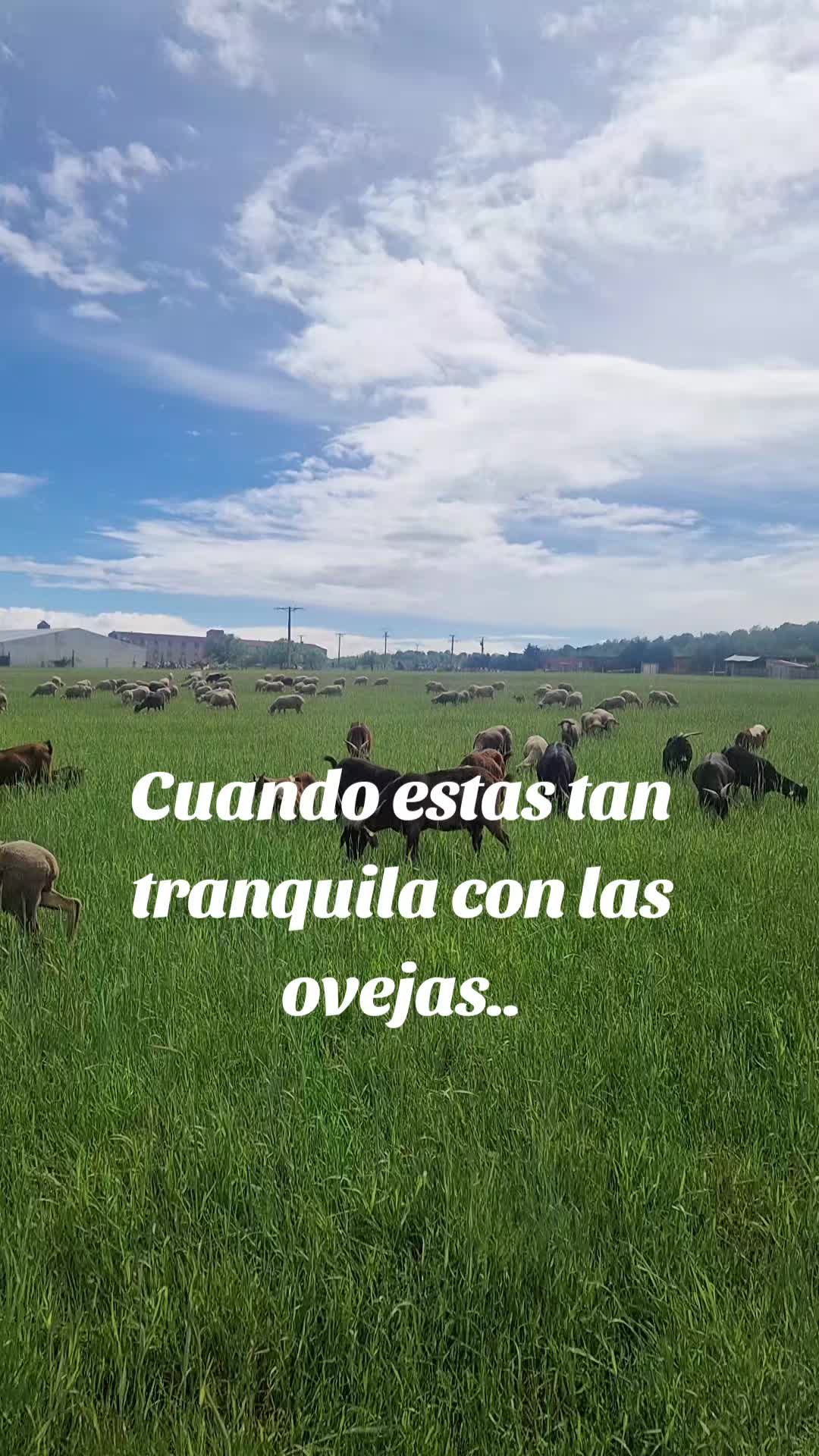 @Ari La Pastora