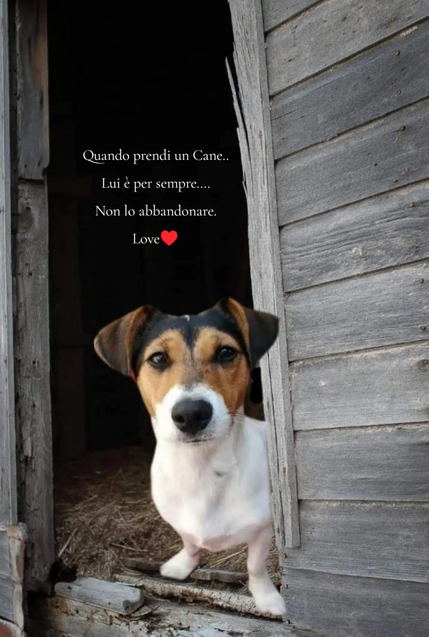 @Rossana&hearts;️Billy&hearts;️ L&eacute;on &hearts;️