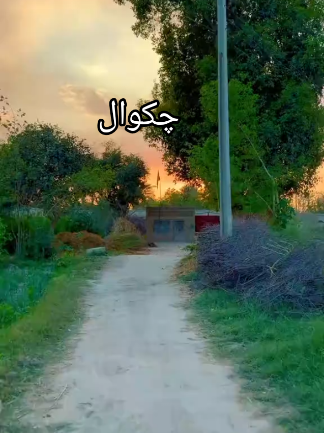 @Ch Jamshed
