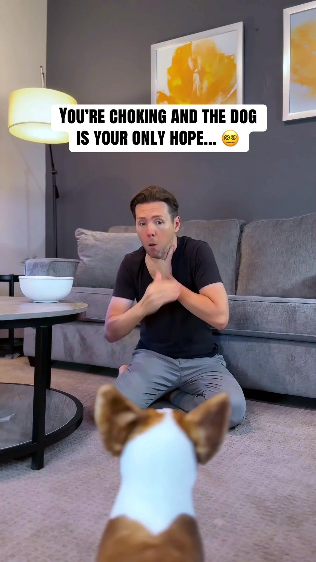 @WhenAshMetBowser