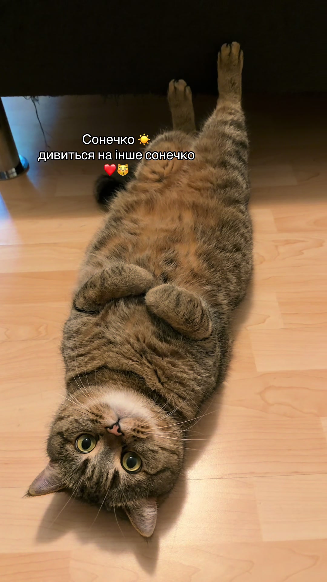 @Джоні 😻