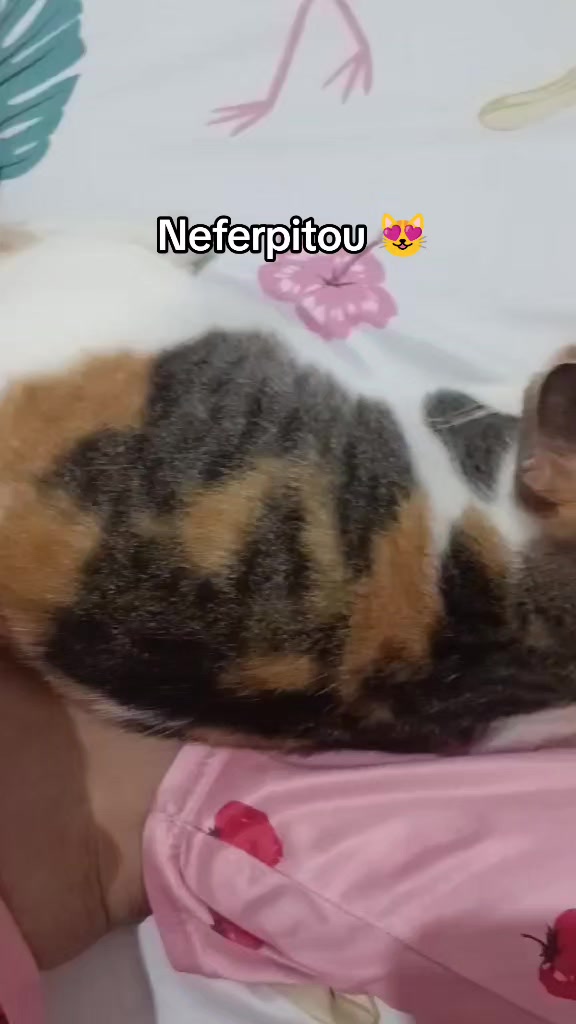 @Comsreen🌻