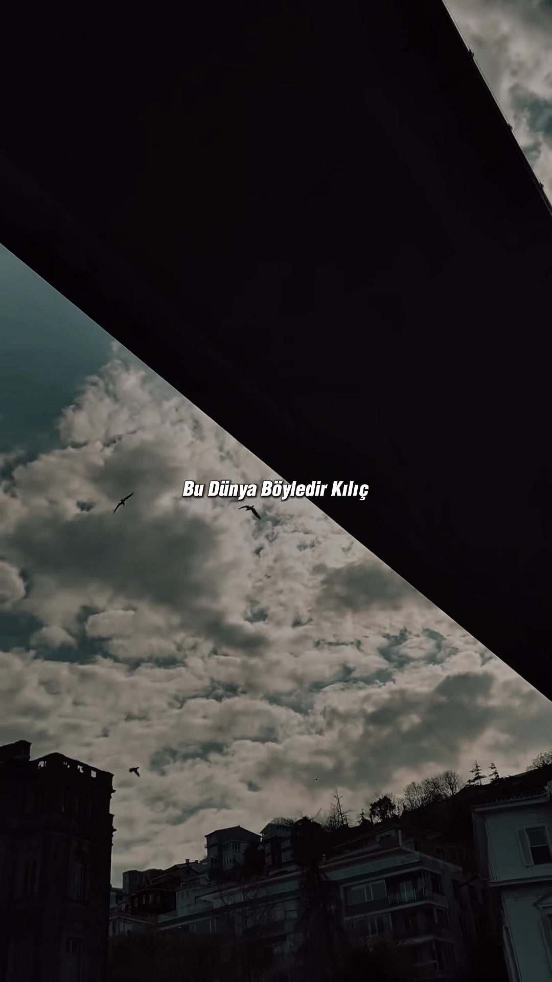 @𝐑𝐀𝐂𝐎𝐍 𝐒𝐓𝐎𝐑𝐘