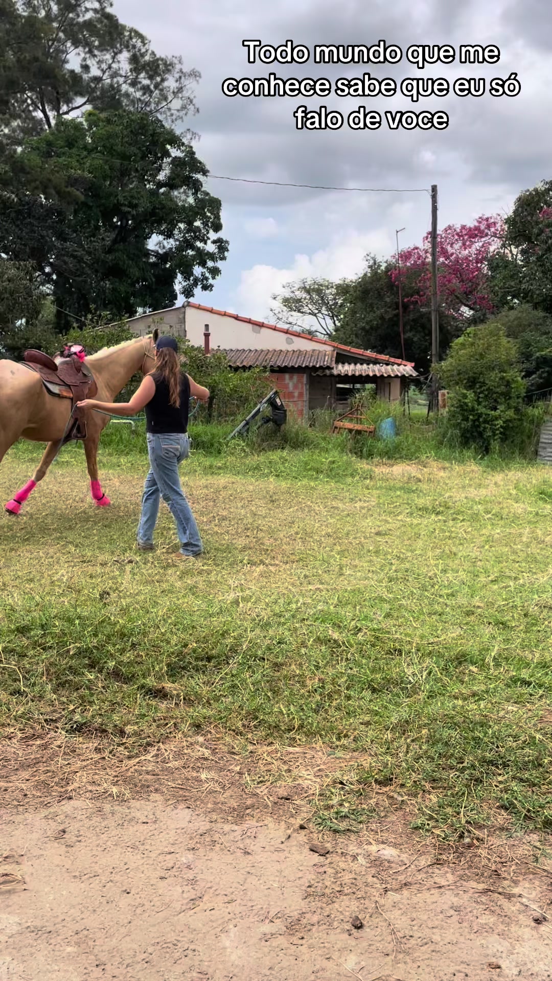 @Thor & cookie🐴🐰