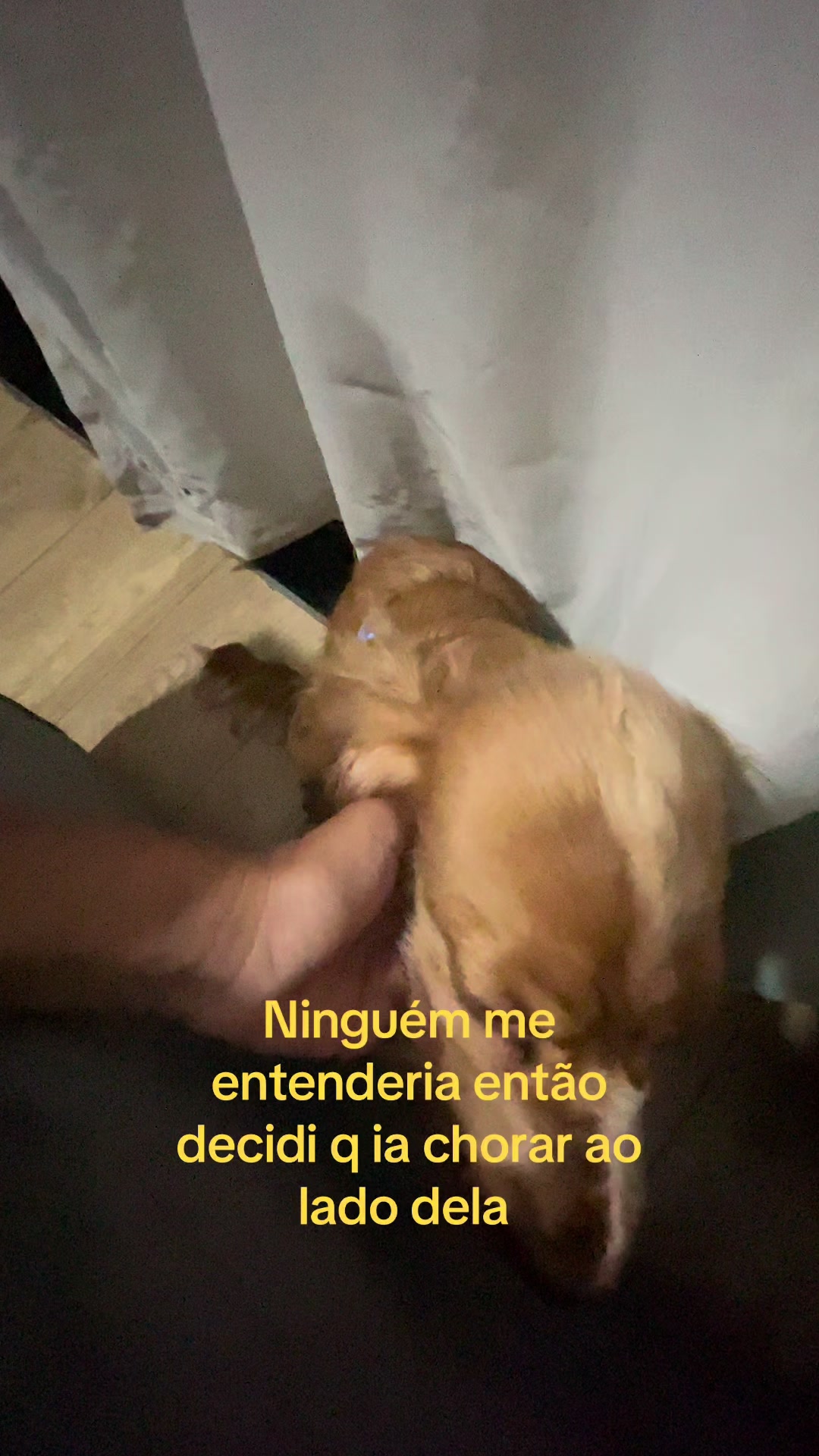 @Helloriganelli