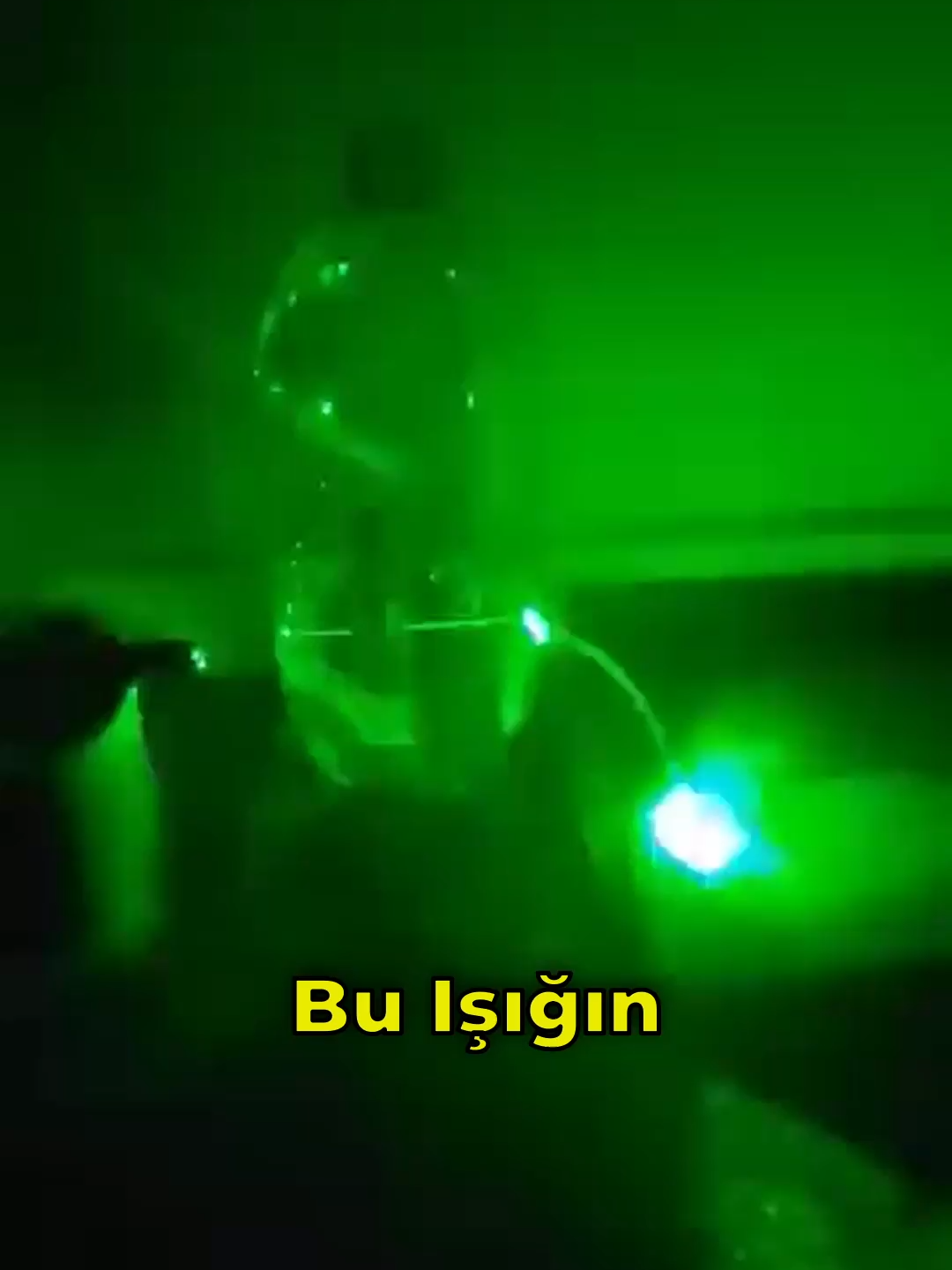 @Dahi Şort