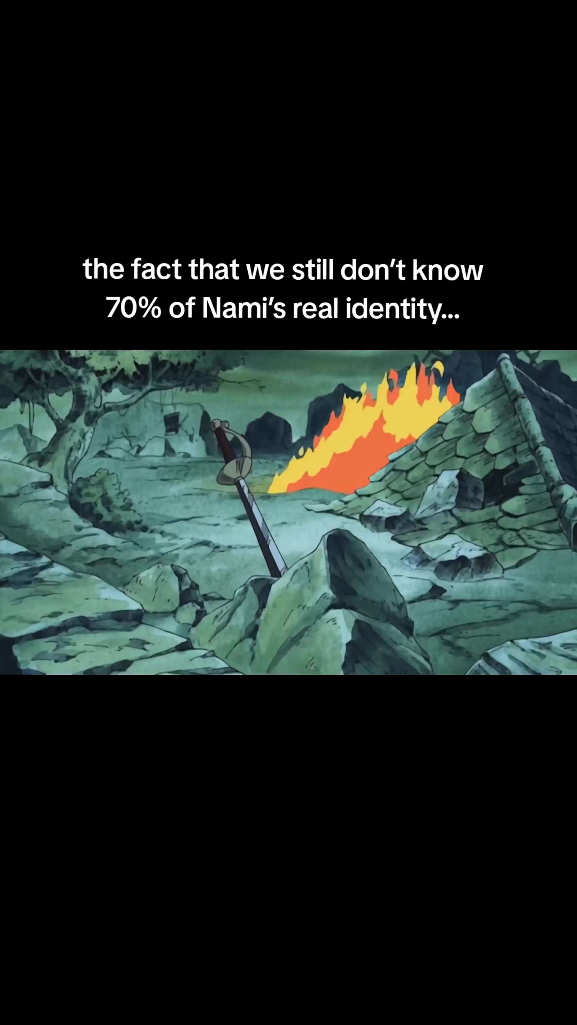 @nami lover