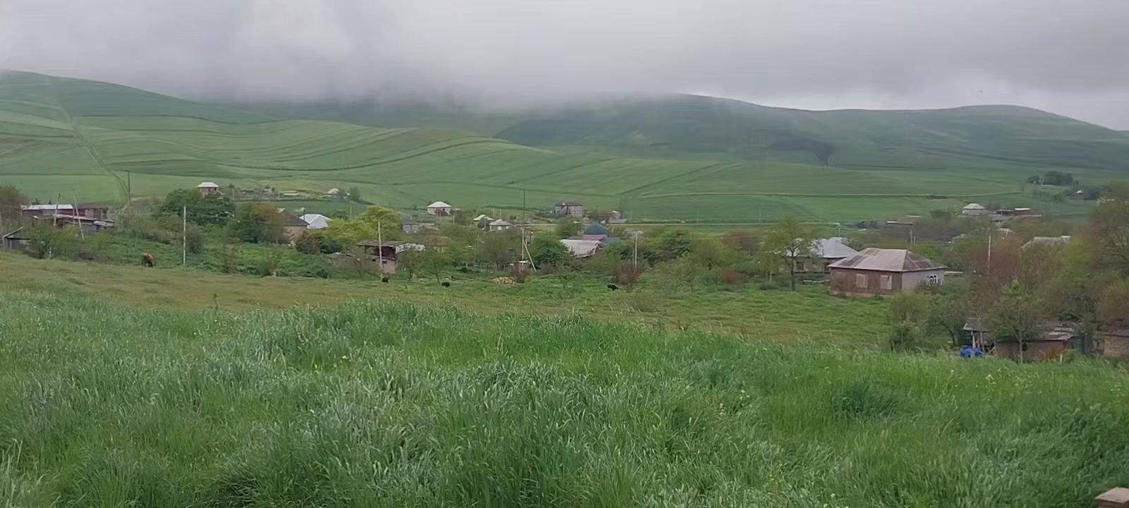 @𝐐𝐔𝐋𝐈𝐘𝐄𝐕_&sup1;⁷⁹