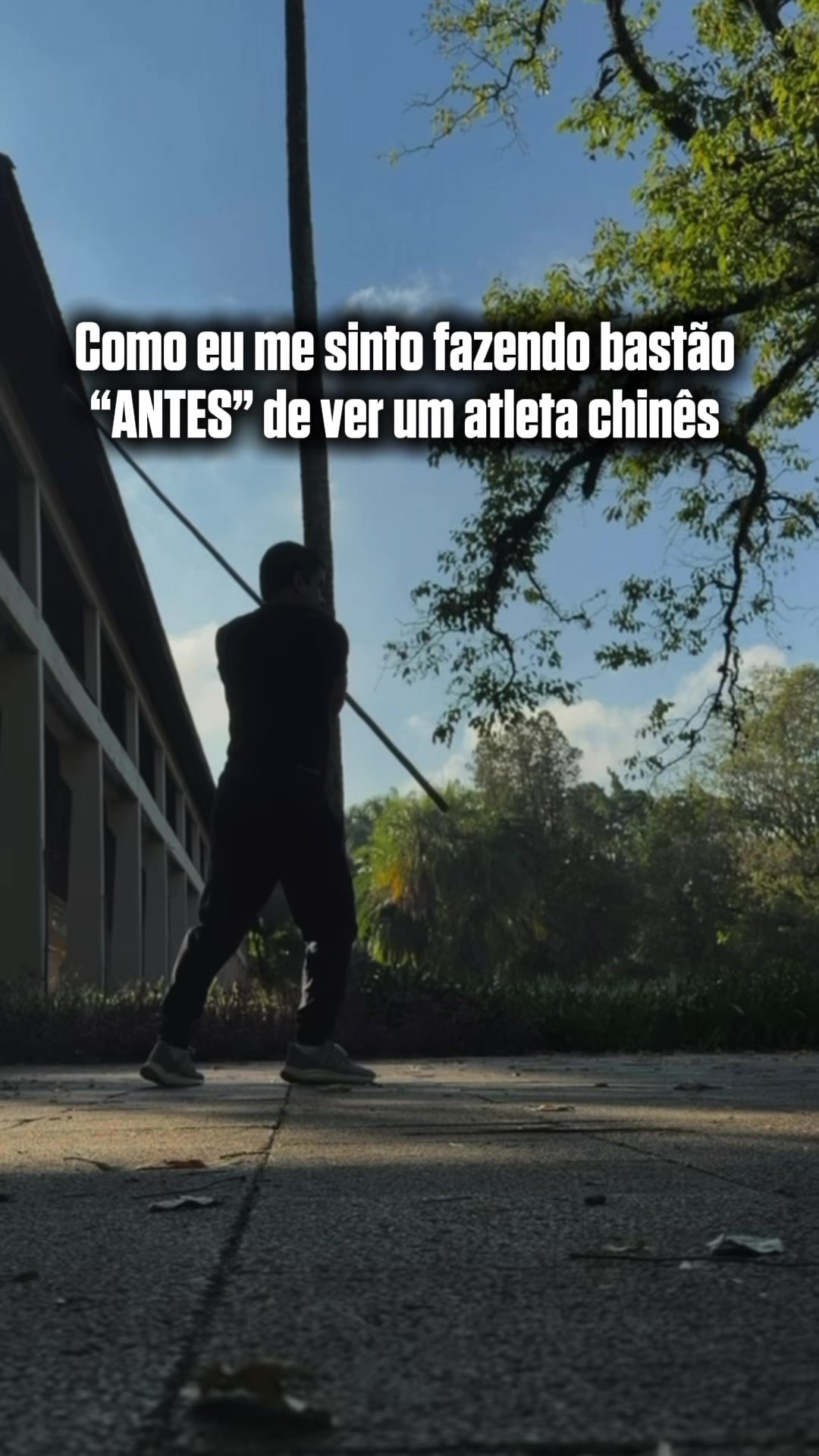 @Luiz Carlos - Wushuluiz