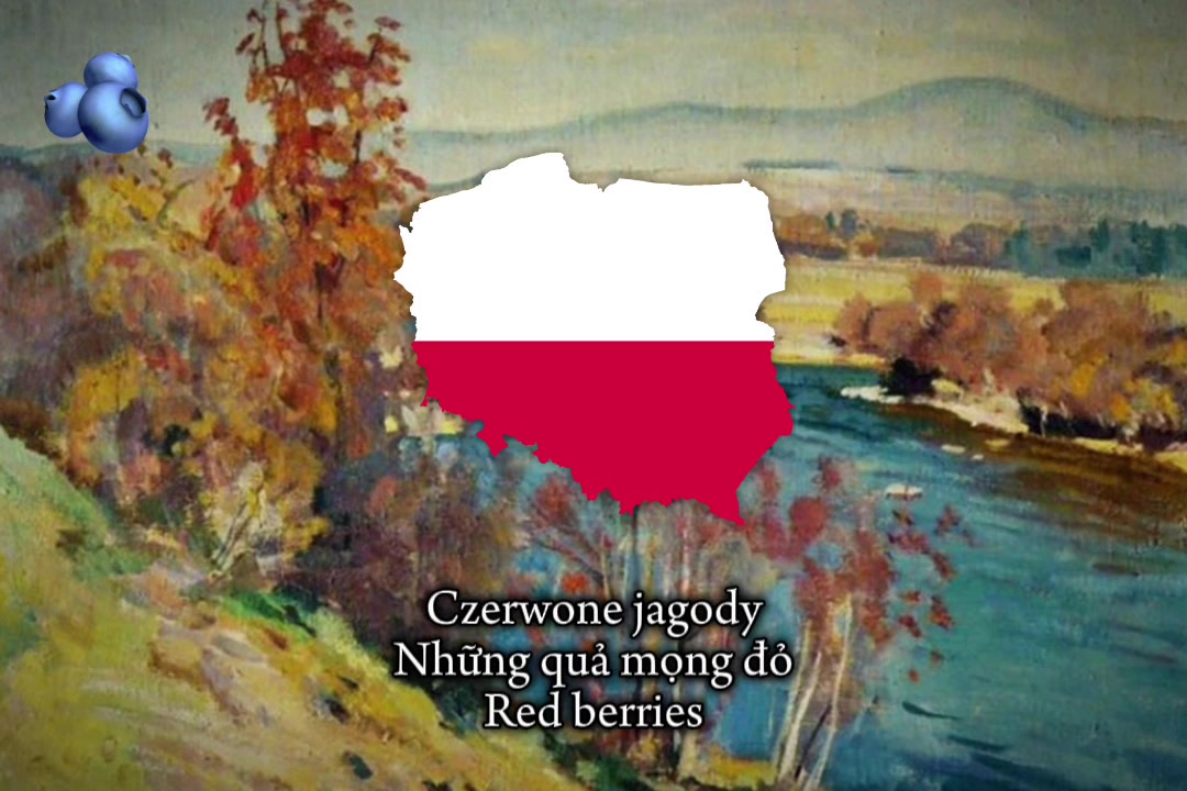 @🇺🇳✧𝓢𝓪𝓬𝓱𝓲✧🇺🇦🇻🇳