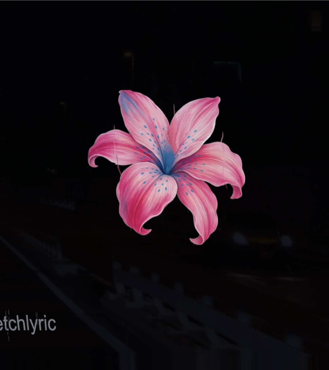 @sketchlyric🎧