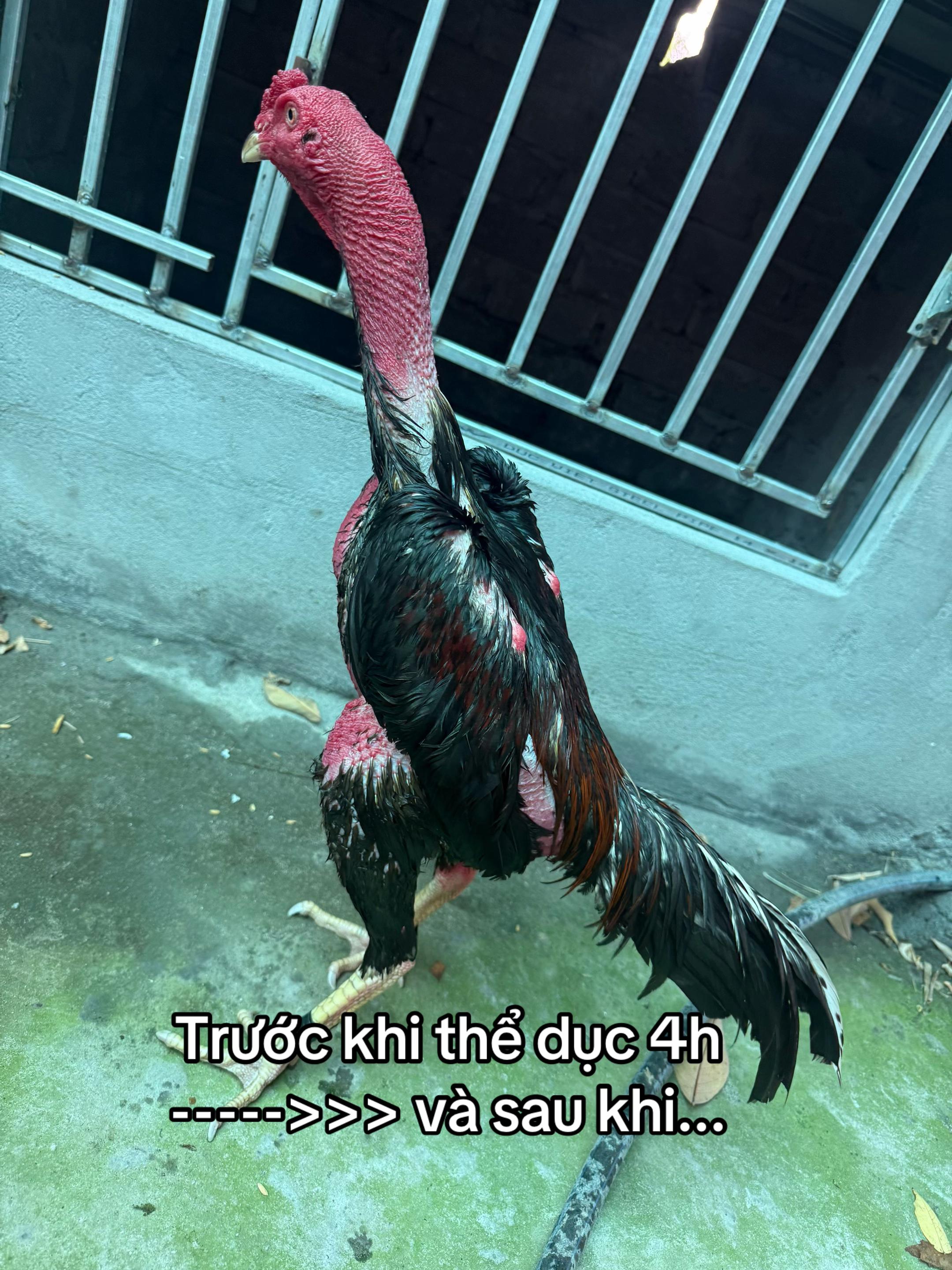 @Đức BG