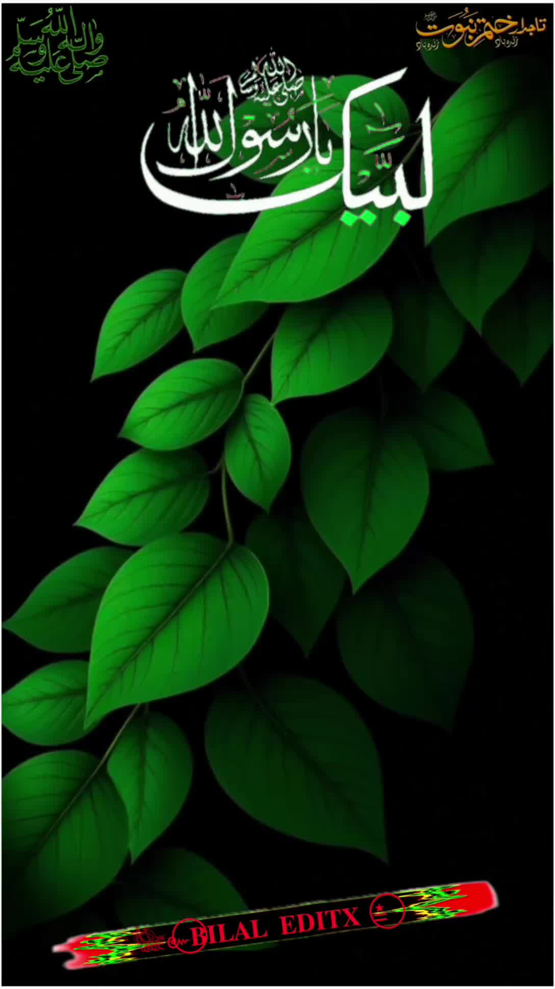 @𓆩عکسِ🪽امیرُ♡المجاہدین𓆪