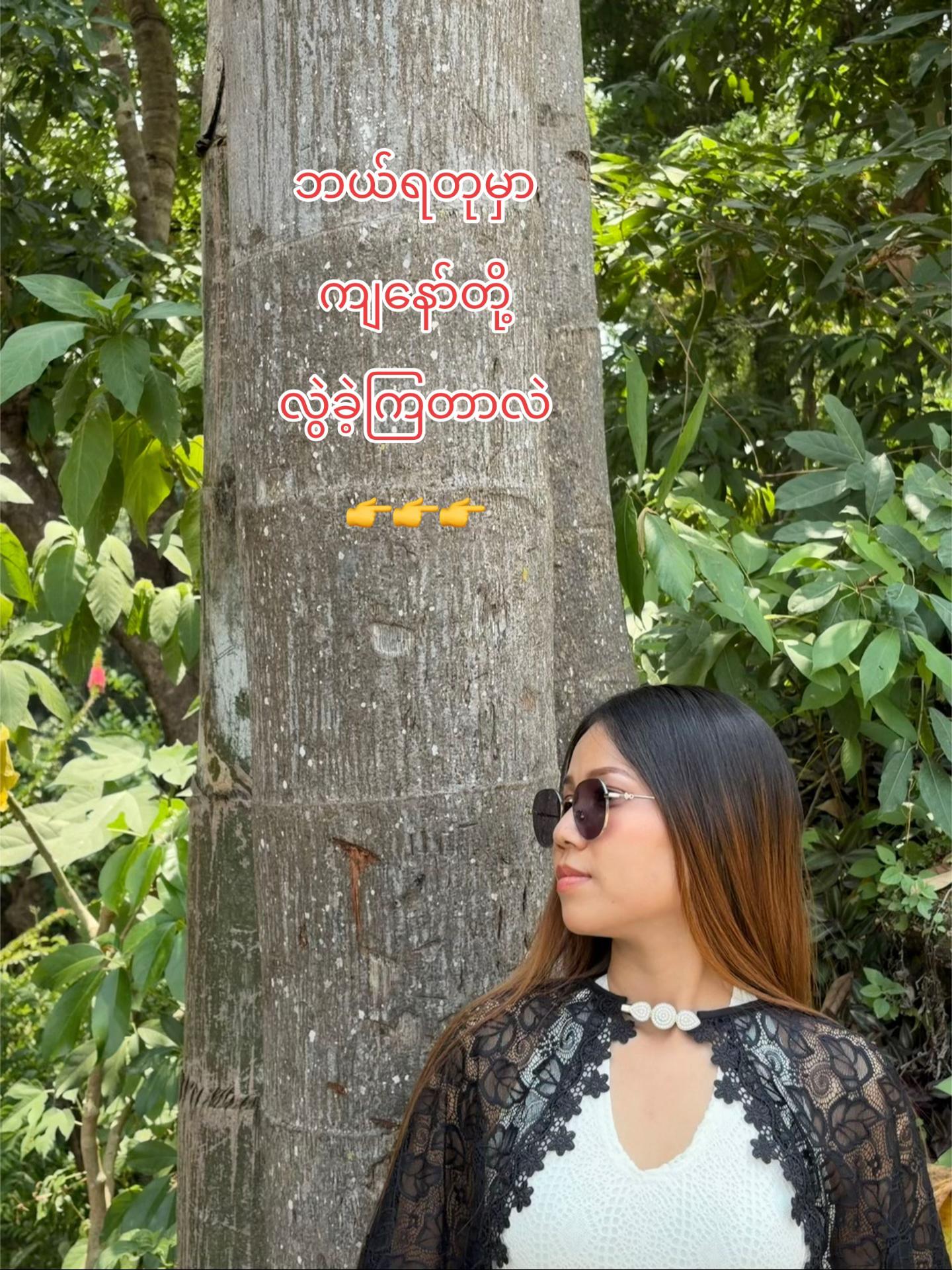 @hninshwewarwin