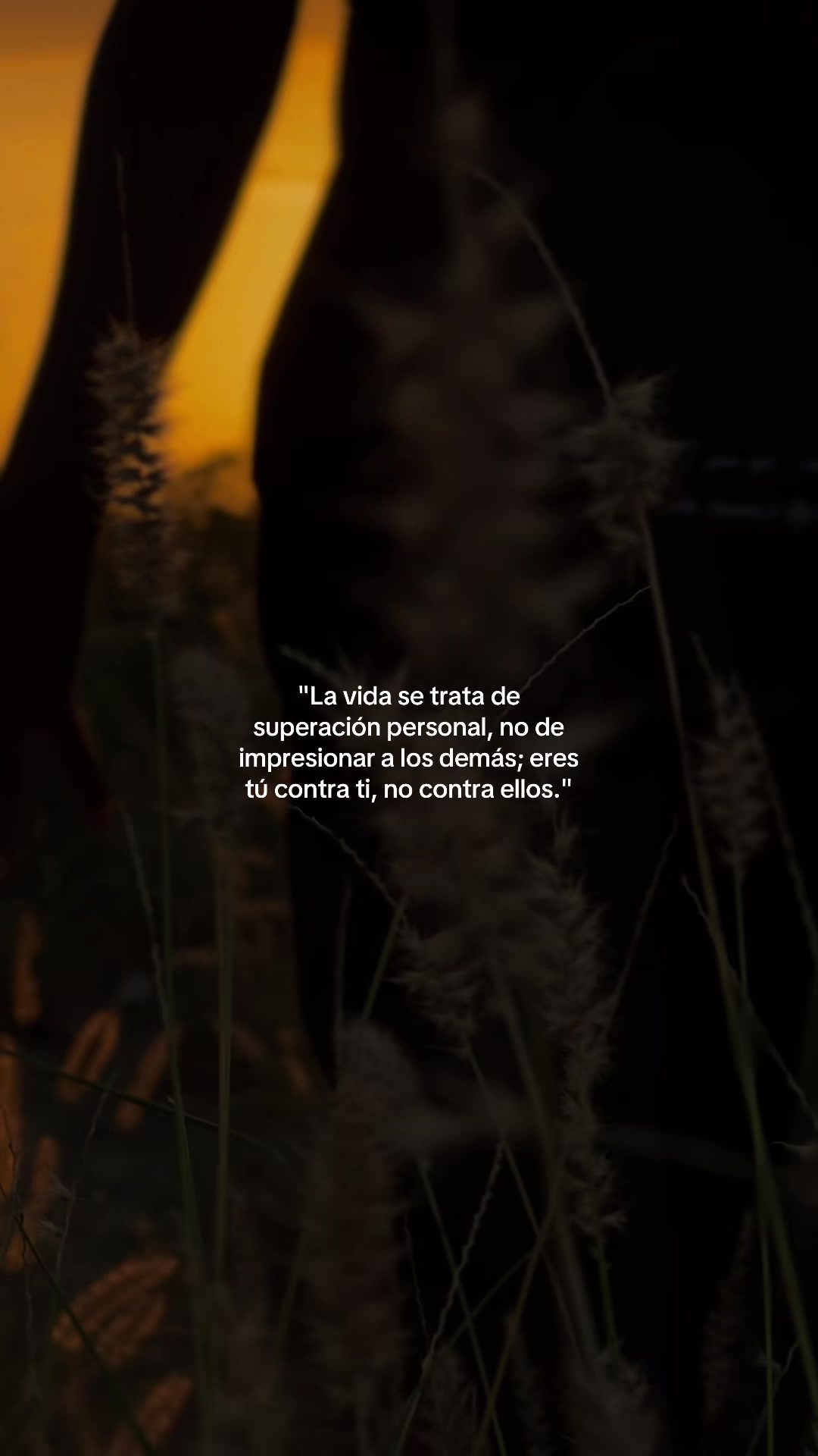 @🎥🌅La naturaleza 🍂🌄