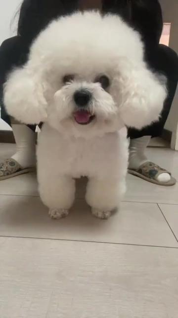 @@ไข่ตุ๋น