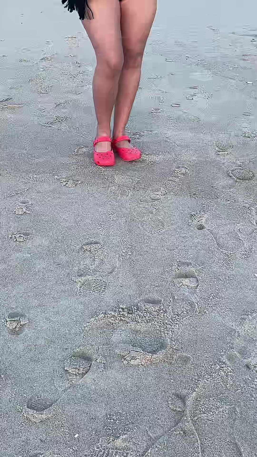 @Fernanda Gonzalez