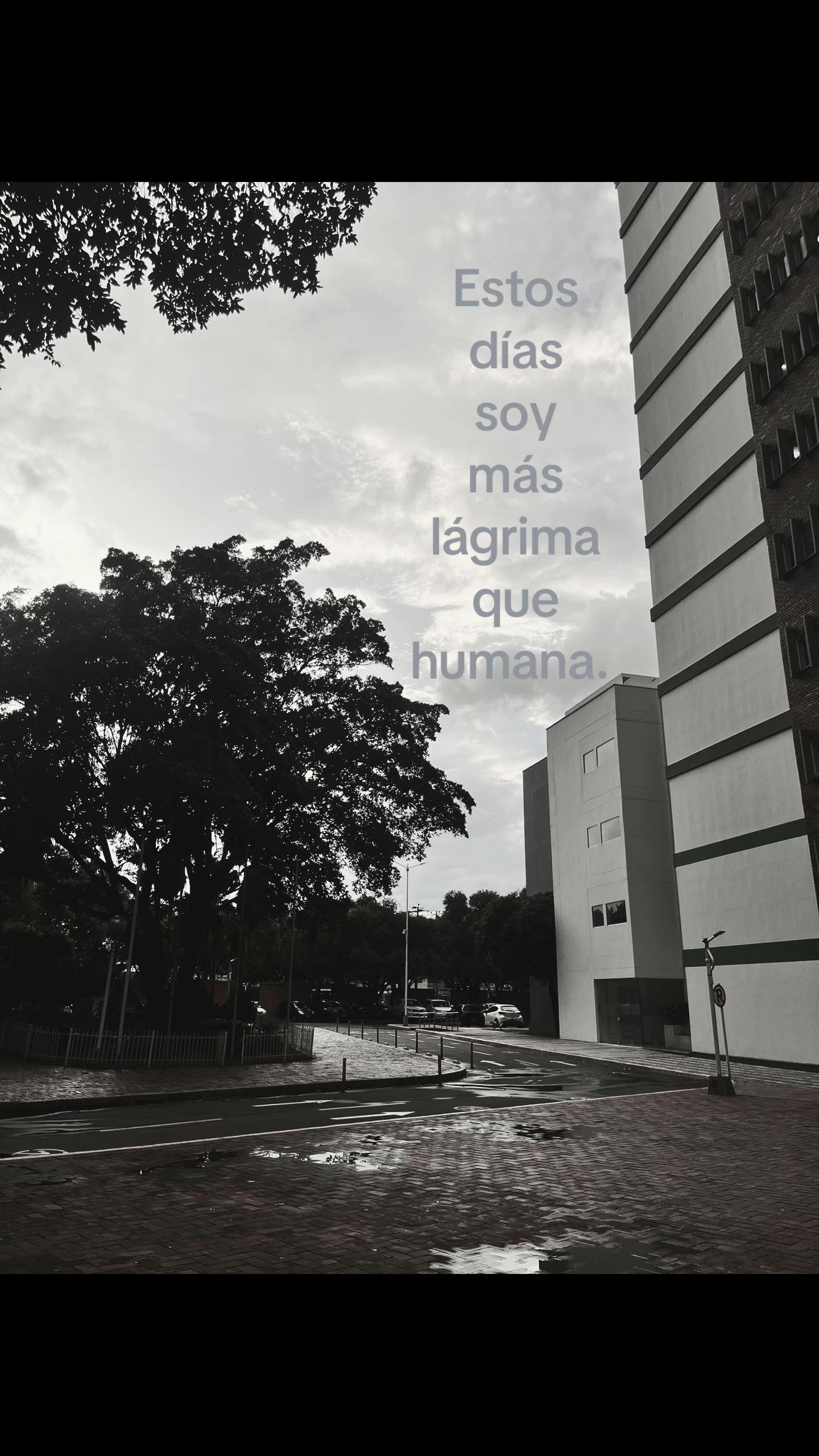 @anonima