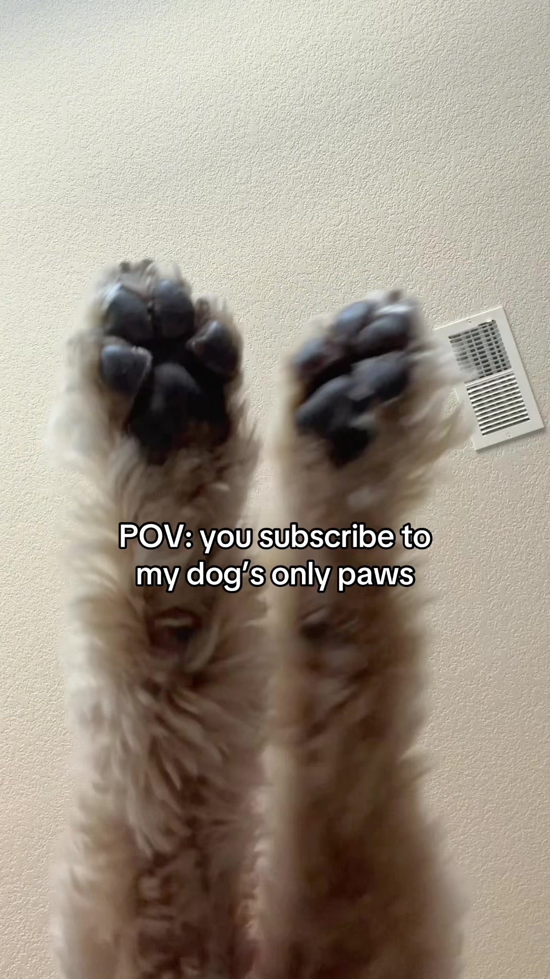 @Me, my Doods and I