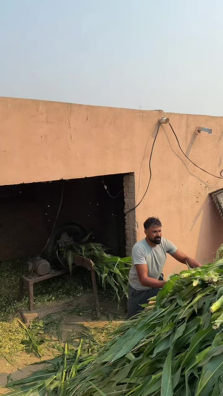 @waqarbhinder852