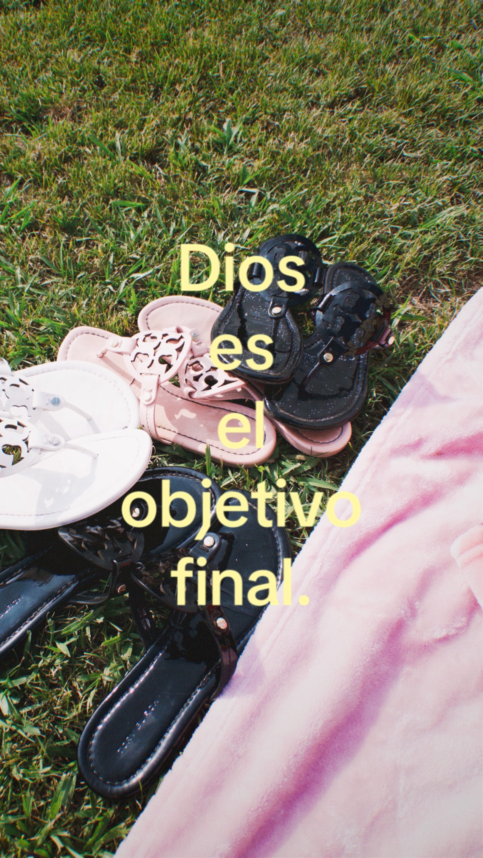 @mirian🌸