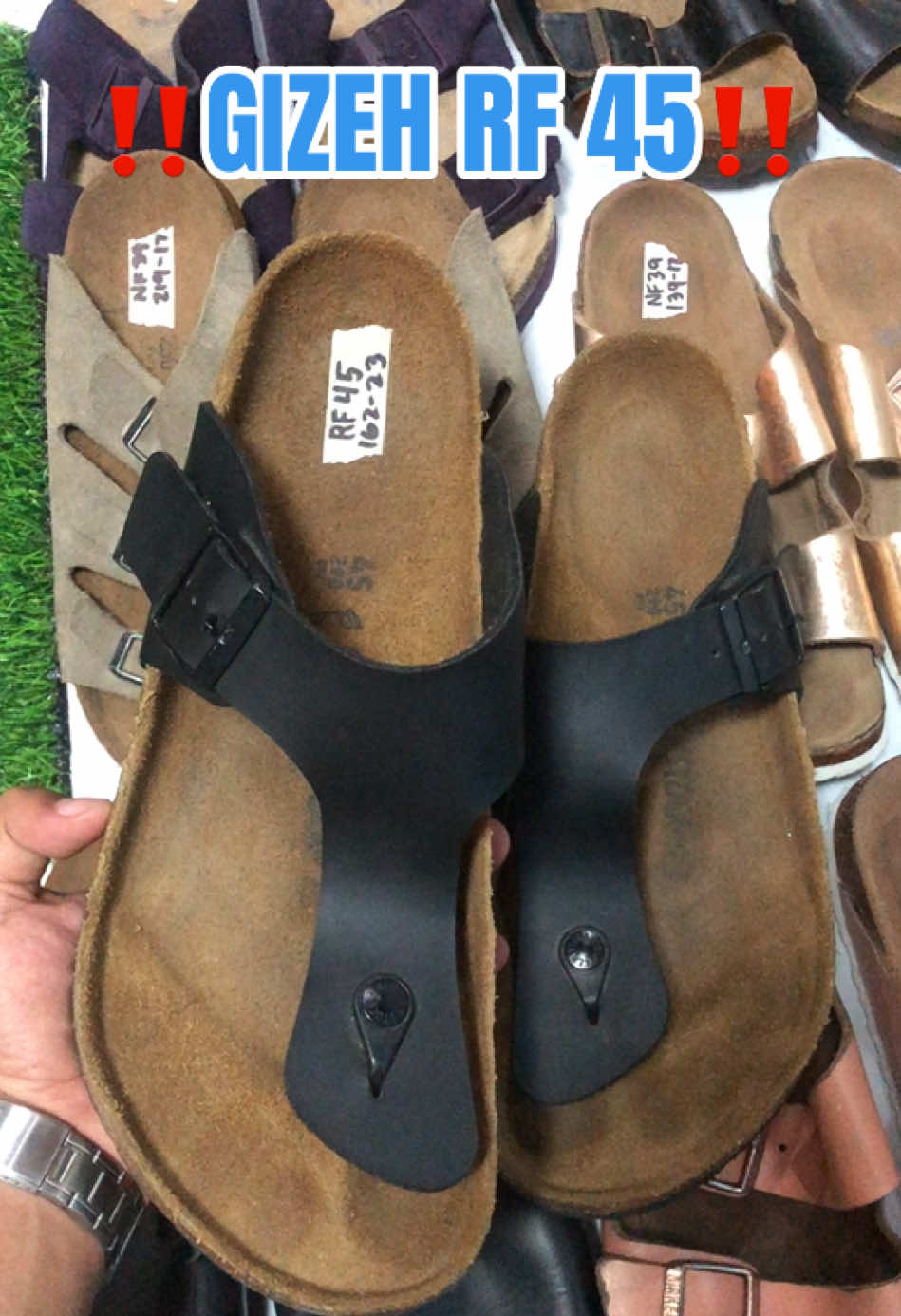 @DAILY BIRKS