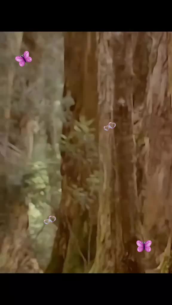 @❤️kavithaamoi❤️