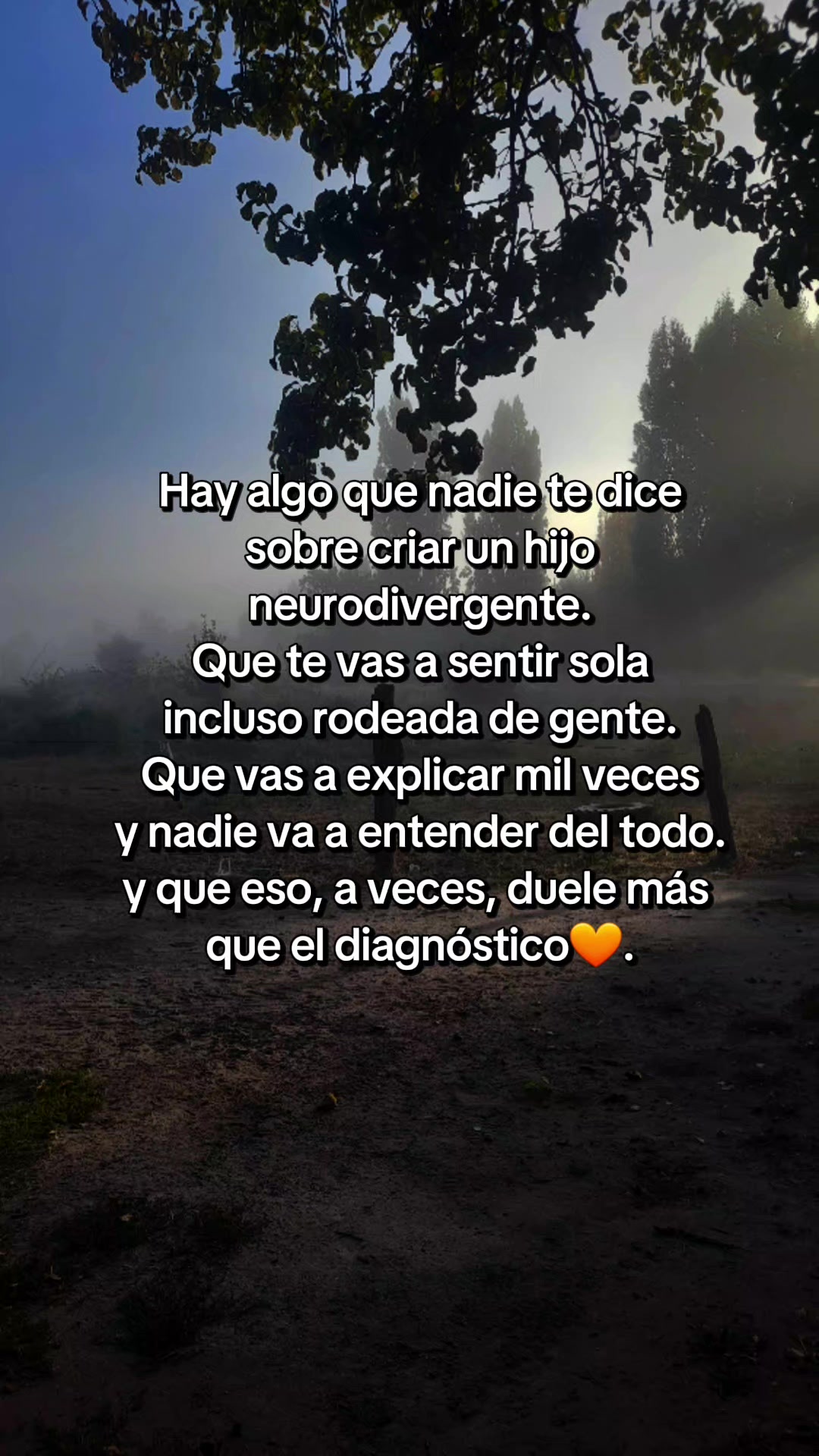 @Patricia Montero