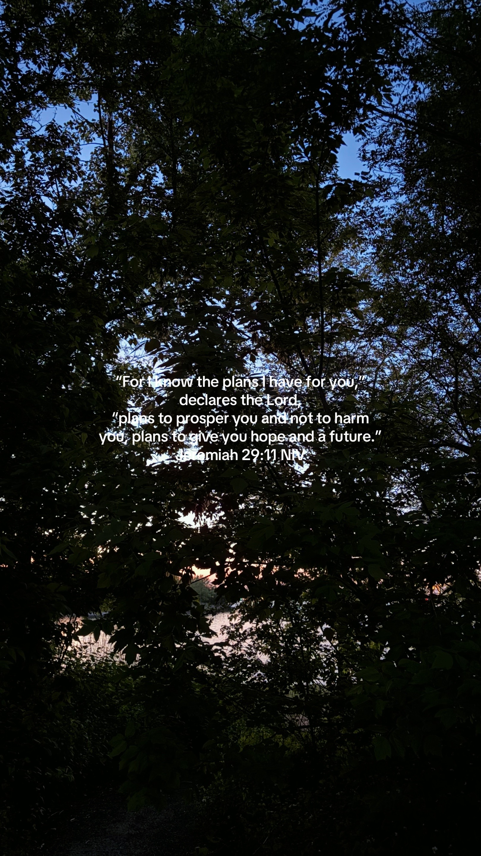 @faith2feed