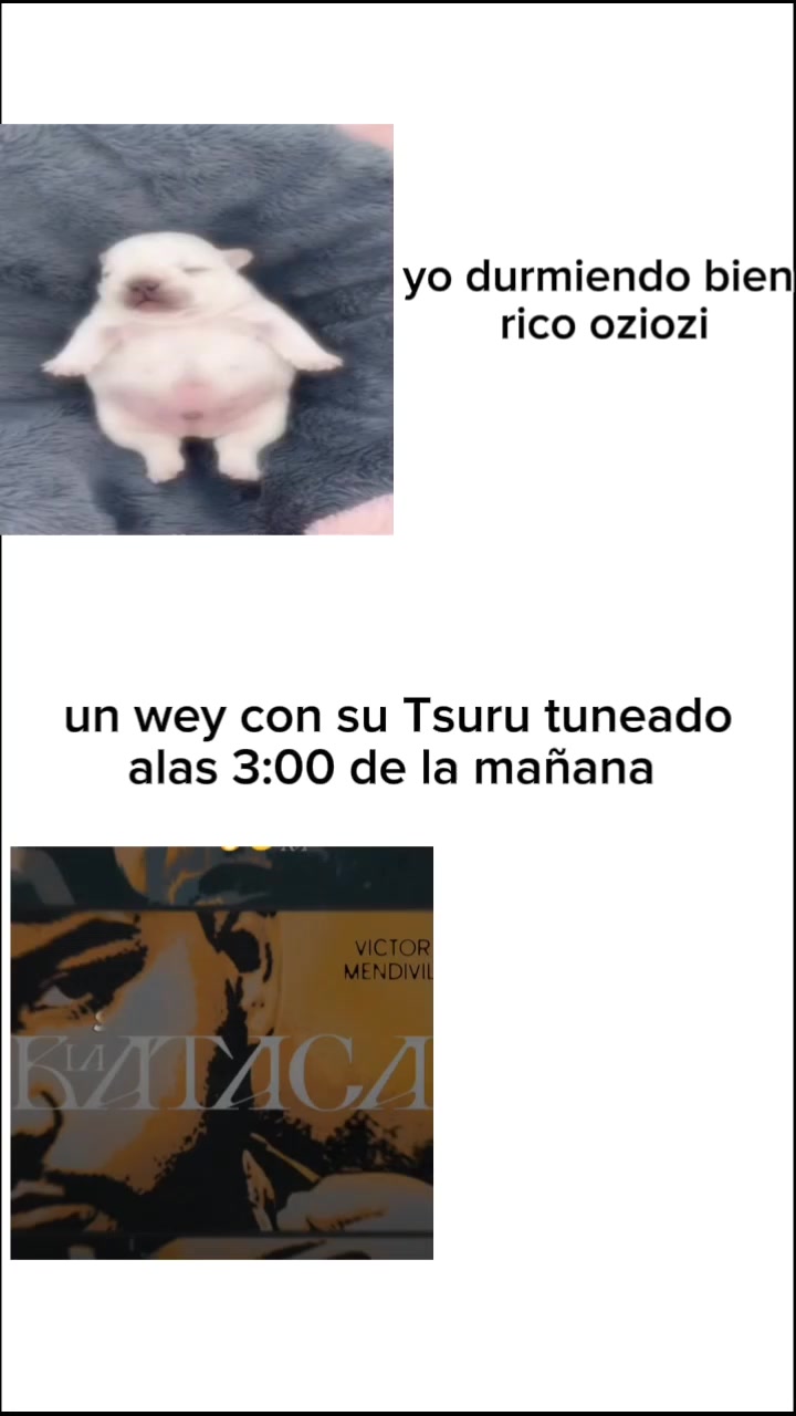 @🥷🏻🍀🔥🪼