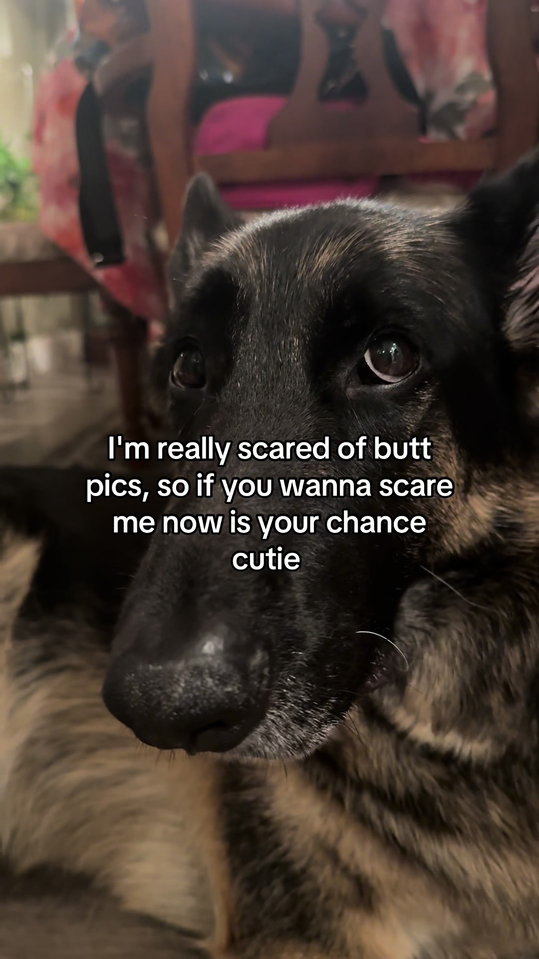 @Bhris