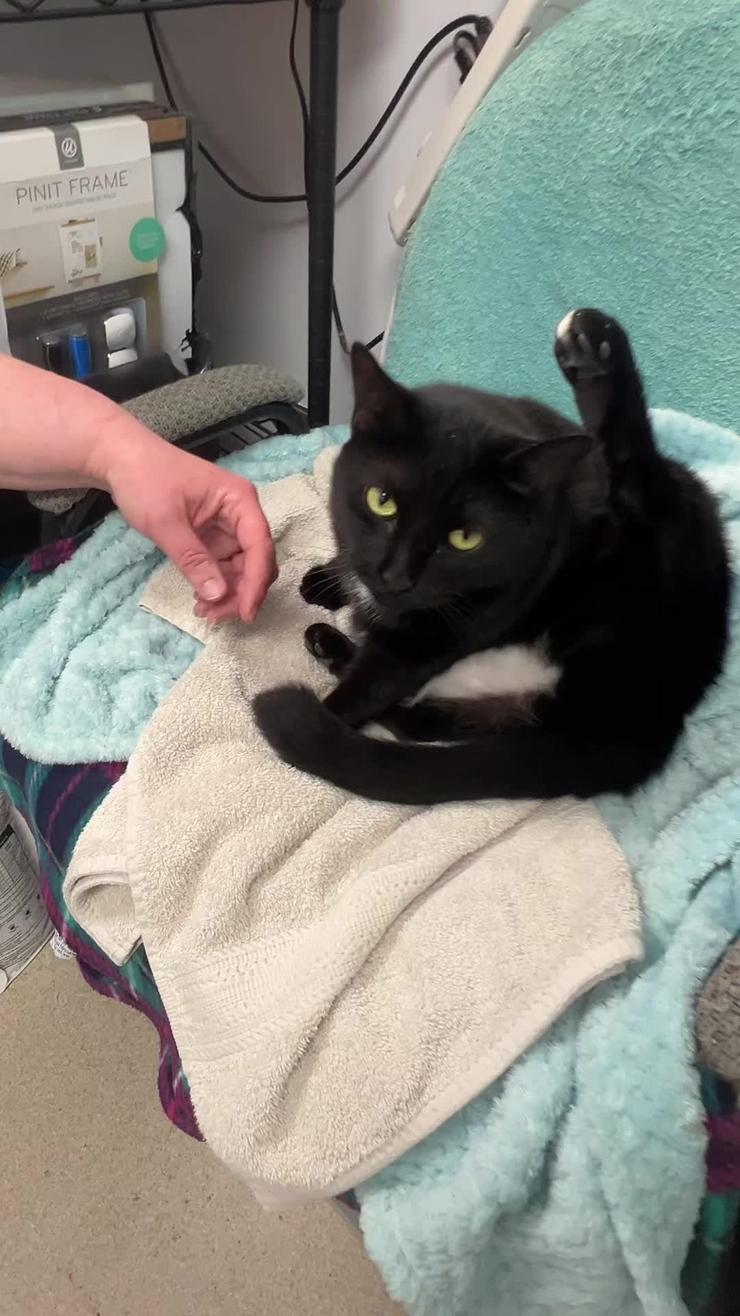 @Vanderburgh Humane Society