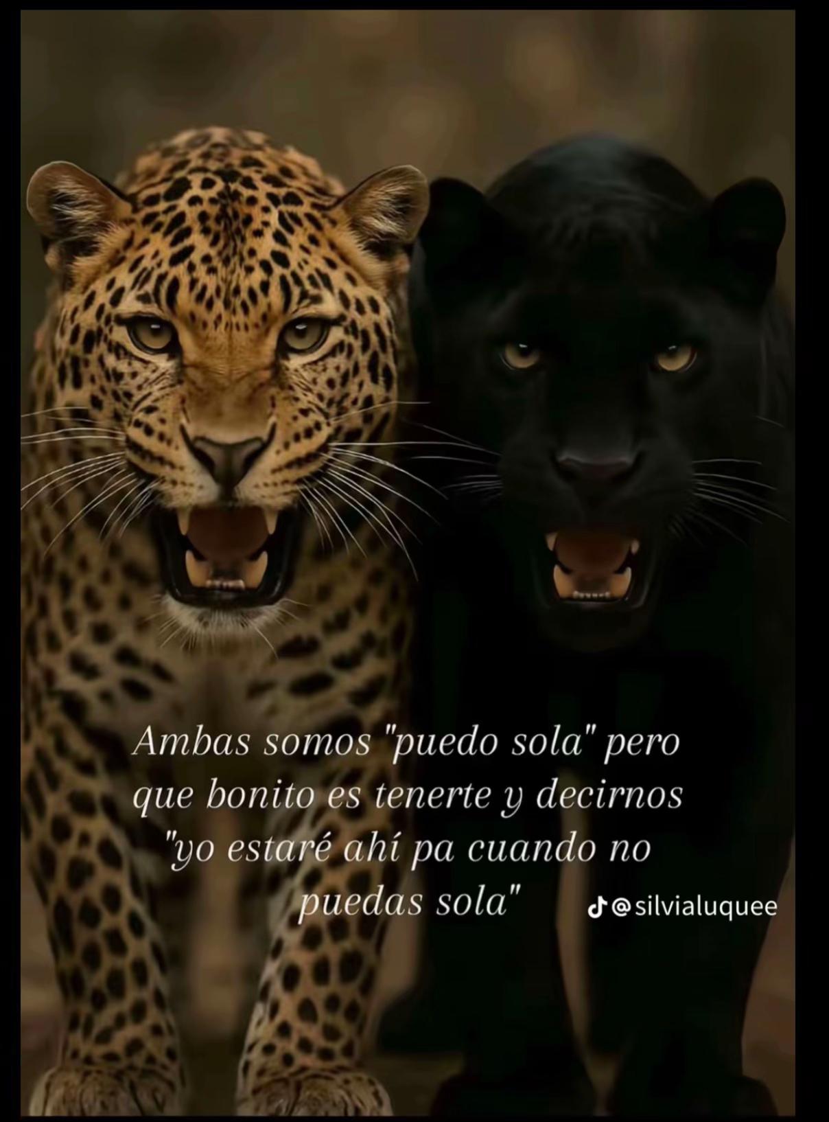 @Tania de la vega