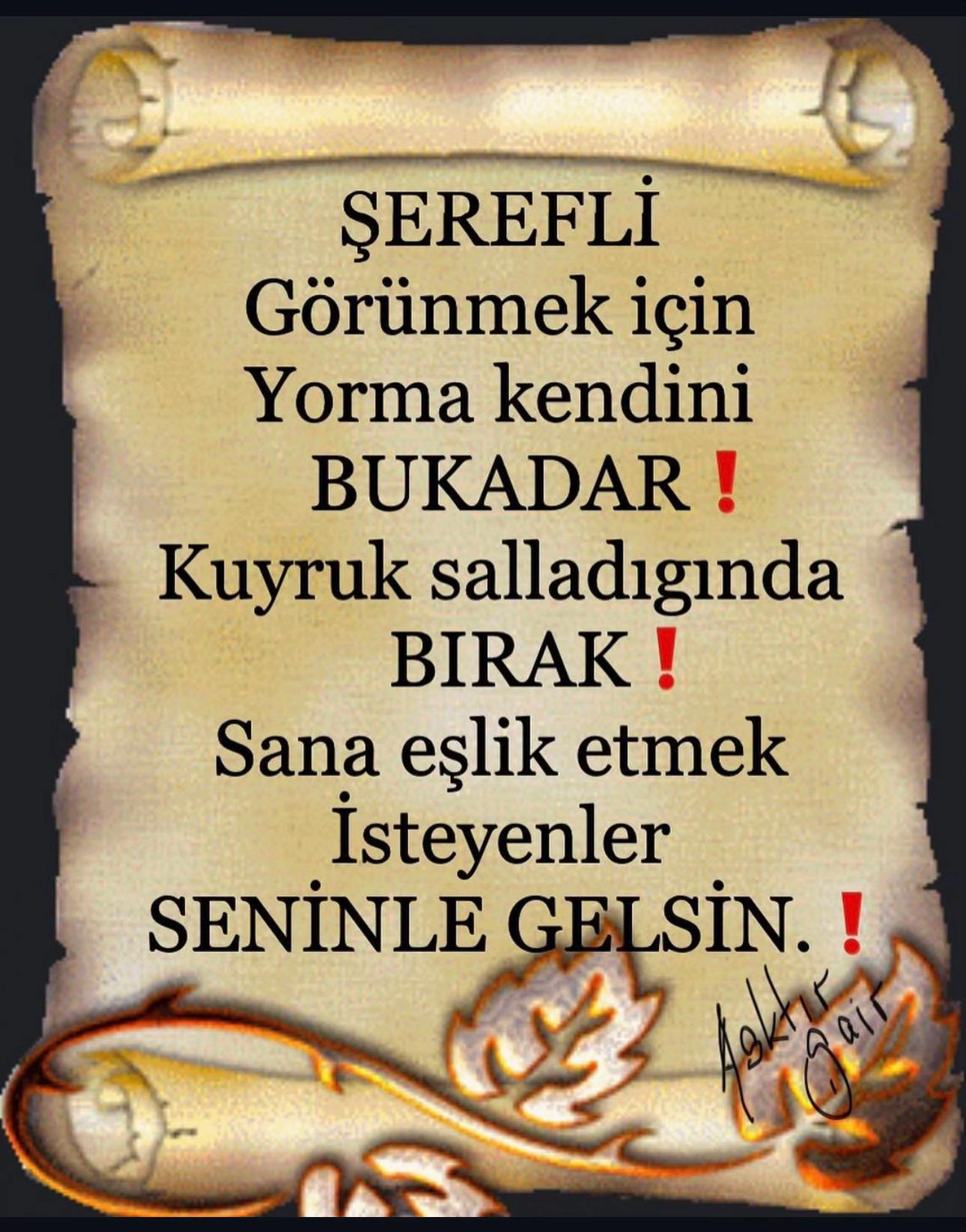 @🇹🇷𝓞𝓛𝓖𝓤𝓝🇦🇿 Söz yazarı