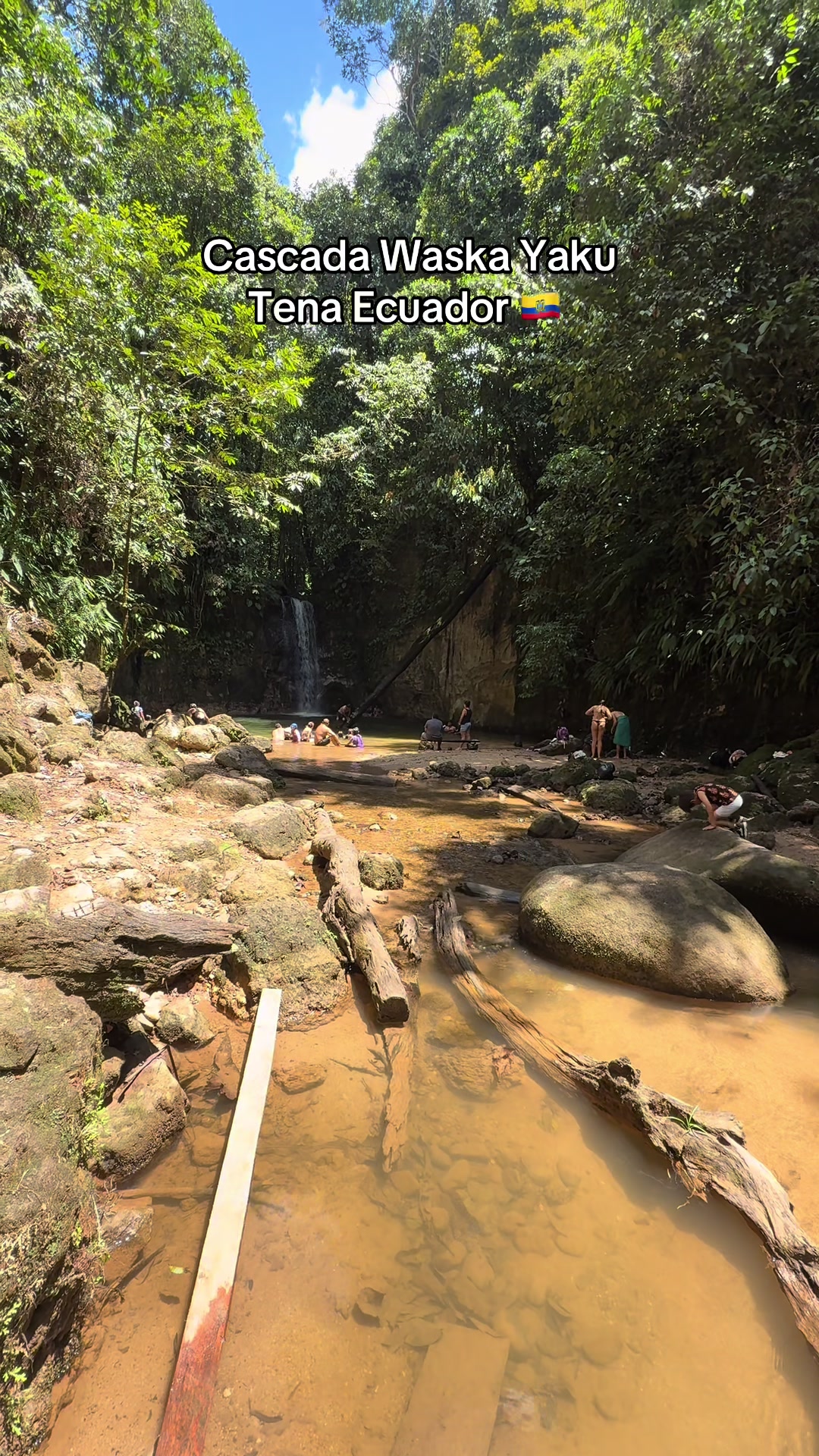 @Amazonia Vive💚(Wlady)🇪🇨😎