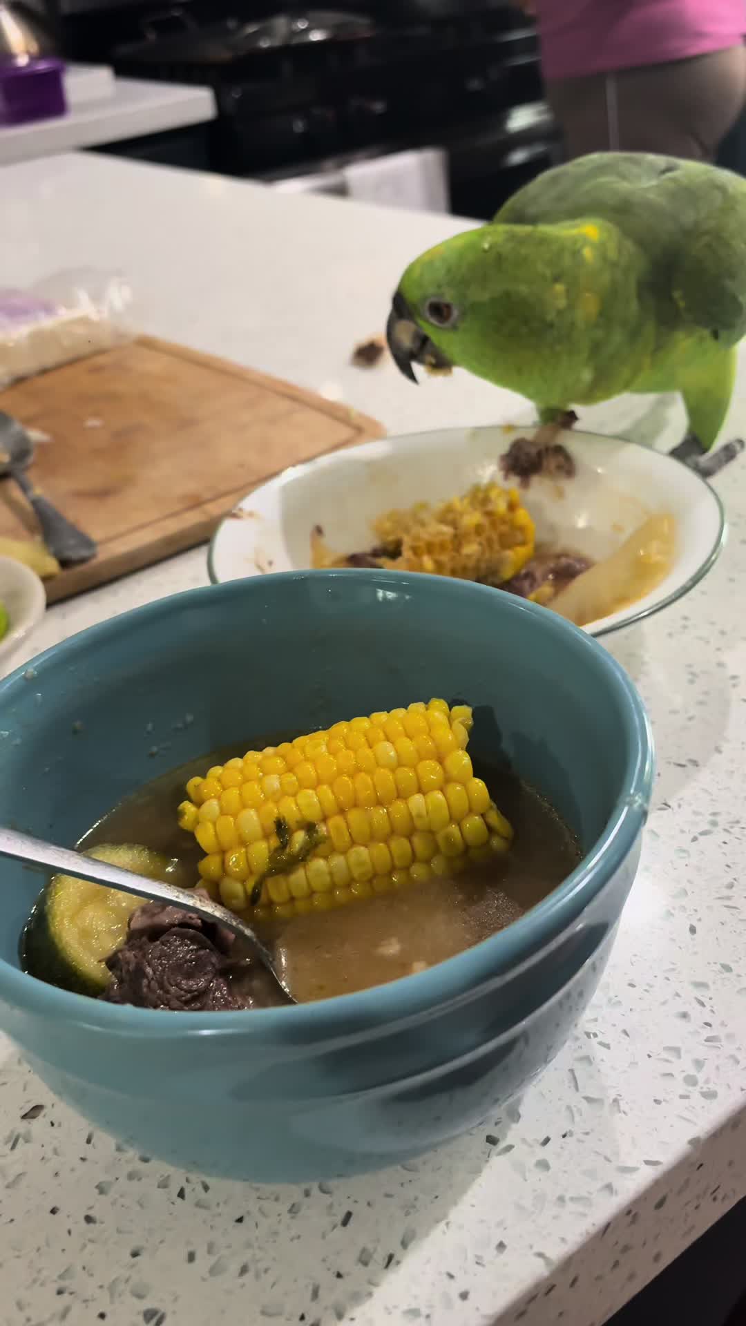 @Coco the Parrot 🦜